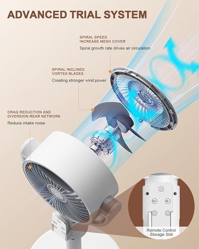 Best Online Shopping in UAE Cesto Royale fan