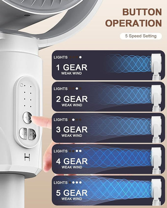 Best Online Shopping in UAE Cesto Royale fan uae